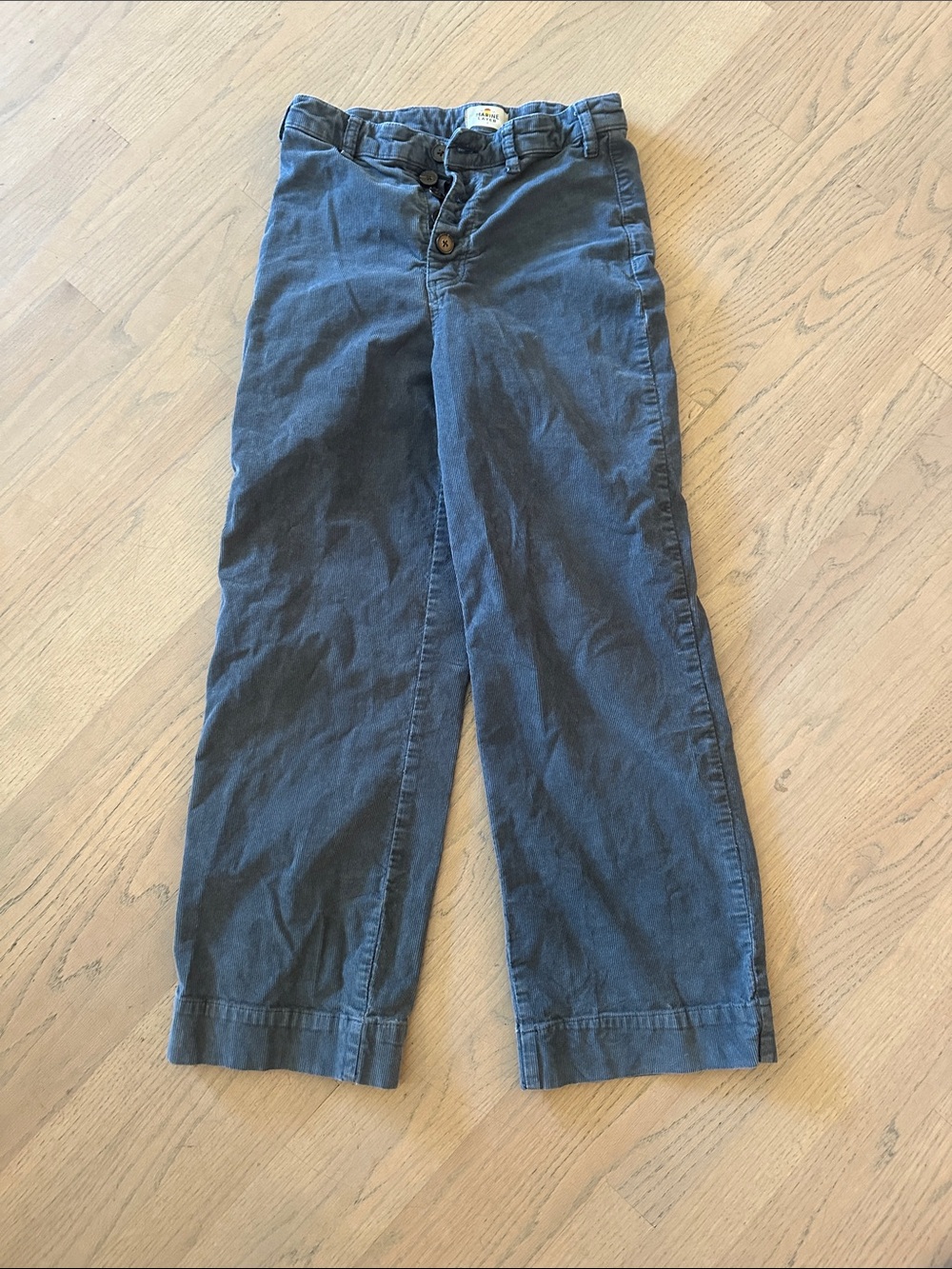 Marine Layer Blue Corduroy Pants